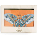 Luna Moths Fold-Out Greeting Card Box Set