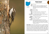 Birds of Ohio Field Guide by Stan Tekiela