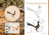 The Field Guide to Embroidery: 52 North American Animal and Plant Designs for Nature Lovers (Beginner-Friendly, Step-By-Step Wildlife Patterns with Birds, by Jessica Kemper