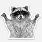 Raccoon Waterproof Decal Sticker