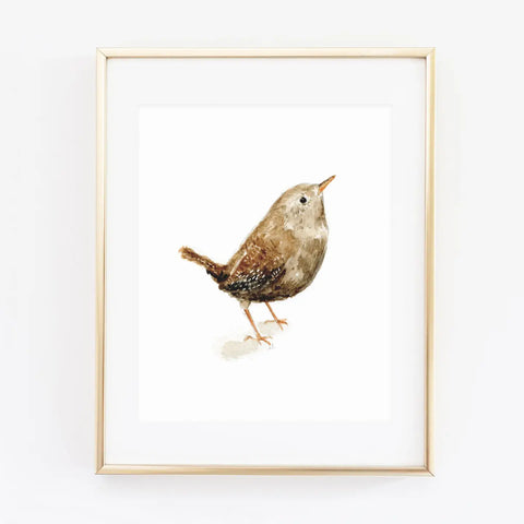 Wren Art Print by Emily Lex