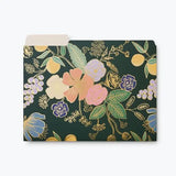Colette File Folder Set
