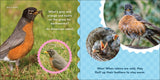 Nature Baby: Birds Board Book
