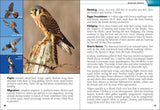 Birds of Prey of the Midwest (Bird Identification Guides) by Stan Tekiela