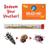 Original Ladybug Land™ with Voucher