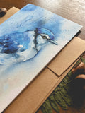 Blue Jay Watercolor A7 Greeting Card