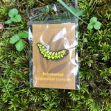 Polyphemus Caterpillar Enamel Pin