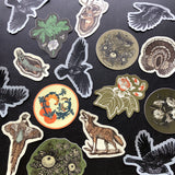 Tulip Poplar Sticker