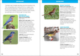 Backyard Birding for Kids: An Introduction to Ornithology