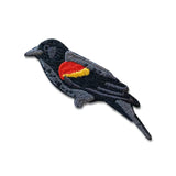 Red-Winged Blackbird Patch