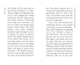 A Wind-Storm in the Forests by John Muir (American Roots)