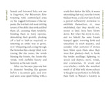 A Wind-Storm in the Forests by John Muir (American Roots)