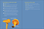 Start Mushrooming: The Reliable Way to Forage by Stan Tekiela