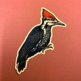Pileated Woodpecker Sticker