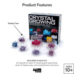 Crystal Growing Stem Science Experiment