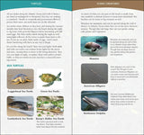 Coastal Life of the Atlantic & Gulf Coasts: Easily Identify Seashells, Beachcombing Finds, and Iconic Animals