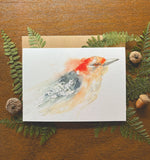 Red-Bellied Woodpecker Watercolor A7 Greeting Card