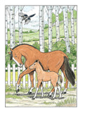 Creative Haven: Great Horses Coloring Book (Adult Coloring Books: Animals)