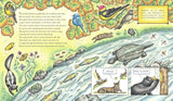 The Wolf Effect: A Wilderness Revival Story by Rosanne Parry