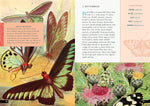 The Little Book of Insects: A Guide to Beetles, Flies, Ants, Bees, and More (Little Library of Natural History #2)