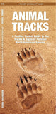 Animal Tracks: A Folding Pocket Guide to the Tracks & Signs of Familiar N.A. Species
