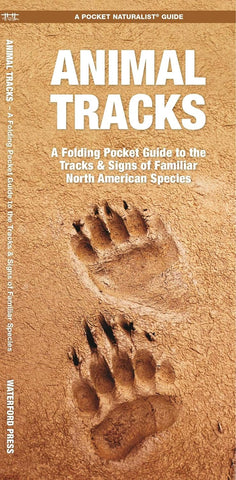 Animal Tracks: A Folding Pocket Guide to the Tracks & Signs of Familiar N.A. Species