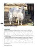 Raising Animals for Fiber: Producing Wool from Sheep, Goats, Alpacas, and Rabbits in Your Backyard (CompanionHouse Books) by Chris McLaughlin