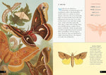 The Little Book of Insects: A Guide to Beetles, Flies, Ants, Bees, and More (Little Library of Natural History #2)