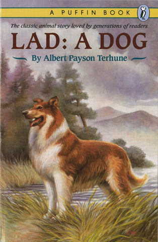 Lad: A Dog by Albert Payson Terhune