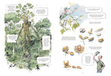 The Hidden Life of Trees: A Graphic Adaptation: (Of the International Bestseller) by Peter Wohlleben, Fred Bernard, Benjamin Flao