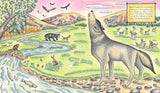The Wolf Effect: A Wilderness Revival Story by Rosanne Parry