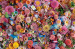 Lost & Found: Discover Hidden Treasures Amongst the Blooms by Zoe Field