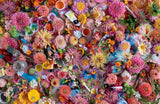 Lost & Found: Discover Hidden Treasures Amongst the Blooms by Zoe Field