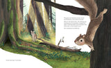 Listen to the Language of the Trees: A Story of How Forests Communicate Underground by Tera Kelley
