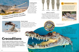 Eyewonder Reptiles: Open Your Eyes to a World of Discovery (Eye Wonder)