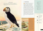 The Little Book of Birds of the World: A Guide to the World's Most Fascinating Birds (Little Library of Natural History #1)