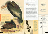 The Little Book of North American Birds: A Guide to North America's Songbirds, Waterfowl, Birds of Prey, and More (Little Library of Natural History #4)