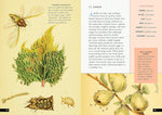 The Little Book of Insects: A Guide to Beetles, Flies, Ants, Bees, and More (Little Library of Natural History #2)