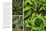 Terrain: the House Plant Book: An Insider's Guide to Cultivating and Collecting the Most Sought-After Specimens