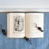 Tumtum & Nutmeg: Adventures Beyond Nutmouse Hall (Tumtum & Nutmeg #1) by Emily Bearn