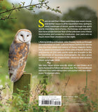The Owl Handbook: Investigating the Lives, Habits, and Importance of These Enigmatic Birds by John Shewey