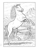 Creative Haven: Great Horses Coloring Book (Adult Coloring Books: Animals)