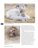 Raising Animals for Fiber: Producing Wool from Sheep, Goats, Alpacas, and Rabbits in Your Backyard (CompanionHouse Books) by Chris McLaughlin