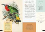 The Little Book of Birds of the World: A Guide to the World's Most Fascinating Birds (Little Library of Natural History #1)