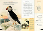 The Little Book of North American Birds: A Guide to North America's Songbirds, Waterfowl, Birds of Prey, and More (Little Library of Natural History #4)