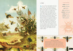 The Little Book of Insects: A Guide to Beetles, Flies, Ants, Bees, and More (Little Library of Natural History #2)