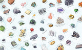 What Can You Do with a Rock? by Pat Zietlow Miller
