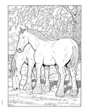 Creative Haven: Great Horses Coloring Book (Adult Coloring Books: Animals)