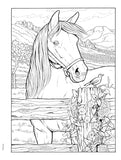 Creative Haven: Great Horses Coloring Book (Adult Coloring Books: Animals)