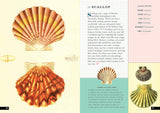 The Little Book of Shells: A Guide to Shells and the Amazing Creatures Who Make Them (Little Library of Natural History #5)
